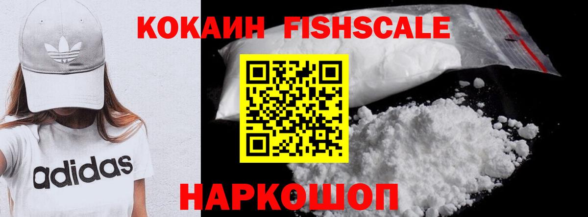 COCAIN Эквадор Октябрьский